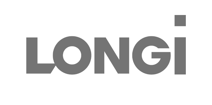 partner-logo_longi